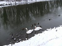 Jan13_Wintersaale2