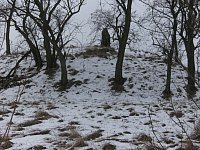 Feb13_Ostrau3