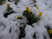 Feb13_Ostrau5