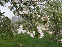 Apr14_Merse-Dürr 10