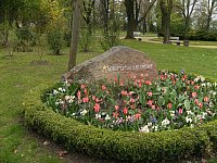 Apr14_Merse-Dürr 12