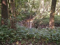 Sep14_Biberbach08