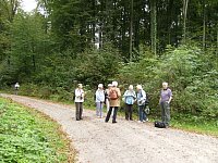 Okt14_Memleben09