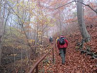 Nov14_Himmelreich06