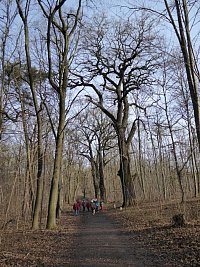 Jan15_Heide06