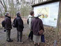 Feb15_Brachwitz02