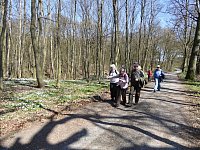 Apr15_Bornstedt03