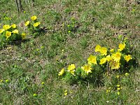 Apr15_Bornstedt08