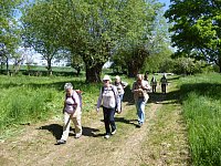 Mai15_Krawinkel02