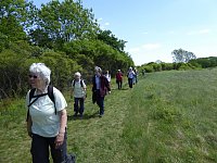 Mai15_Krawinkel05