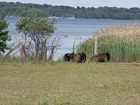 Jun15_Cospuden07