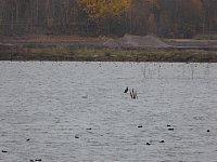 Nov15_Wallsee06