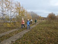Nov15_Wallsee09